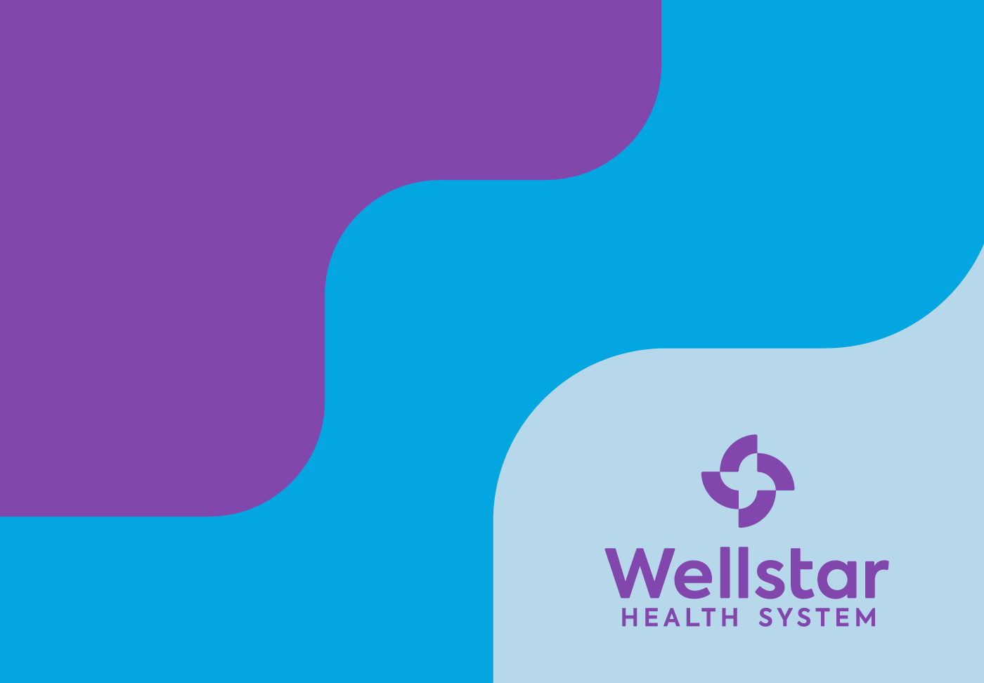 Wellstar Health System